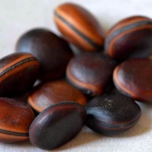 Paquete de 10 semillas de OJO DE BUEY DE ORIGEN BRASILEÑO. Contra la envidia.-